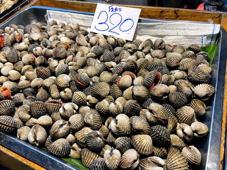 タイ食材【市場のホイクレーン】タイの赤貝